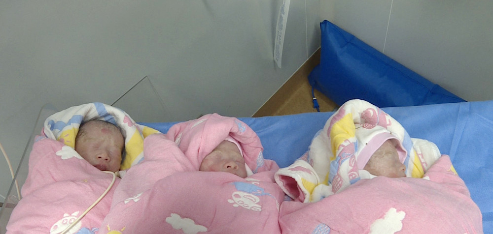 三胞胎_副本1.jpg 三胞胎_副本1.jpg