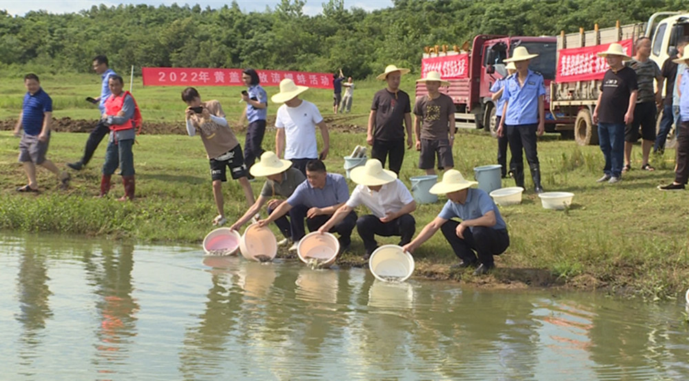 黄盖湖增值放流004_副本.jpg