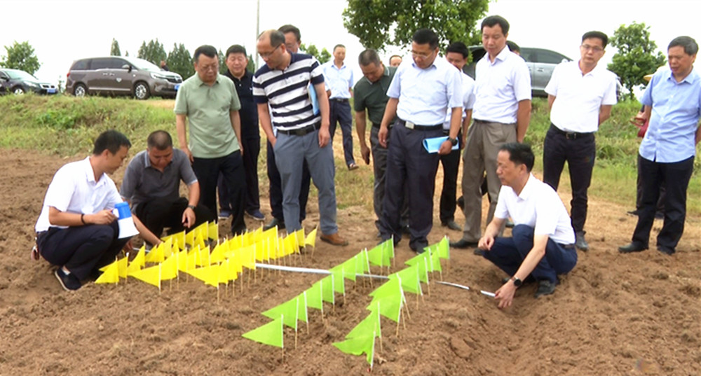 0725王文华 刘琦农村农业部调研003_副本.jpg