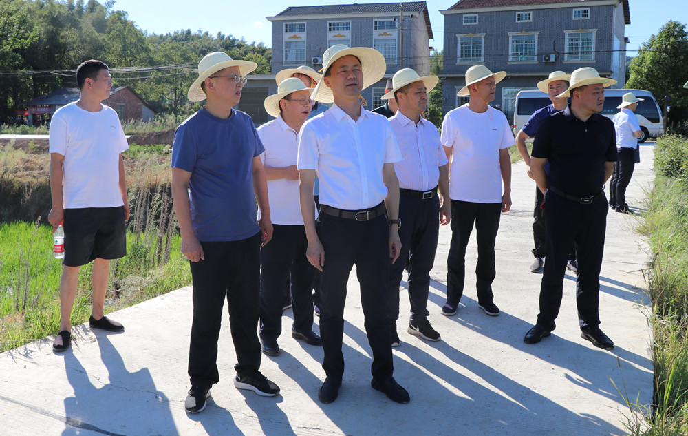 书记抗旱.jpg 书记抗旱.jpg