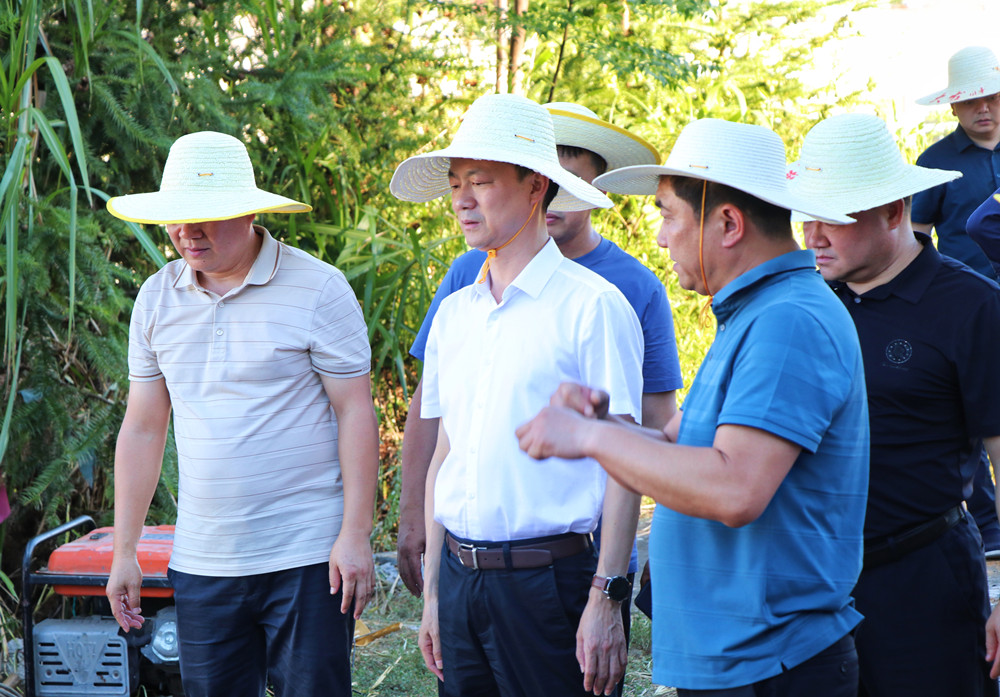 书记抗旱1.jpg 书记抗旱1.jpg