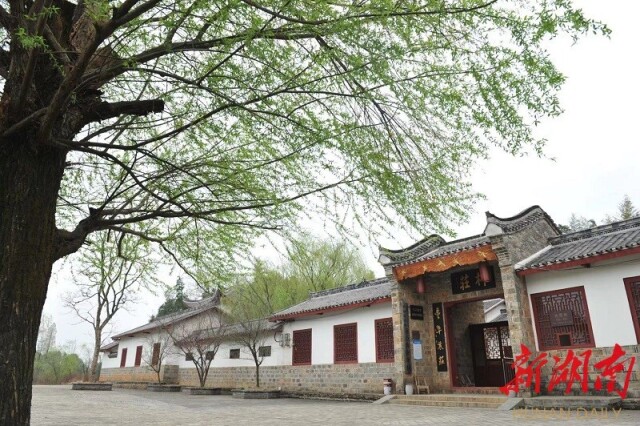 这座村庄，因一个人“抬棺西征”，已是千般风情……
