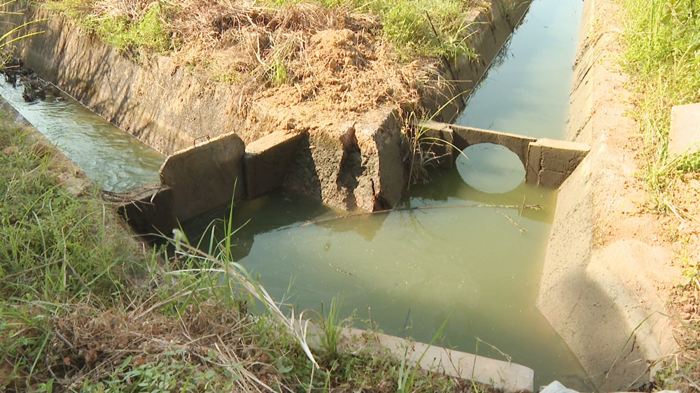 聂市抗旱001_副本.jpg 聂市抗旱001_副本.jpg