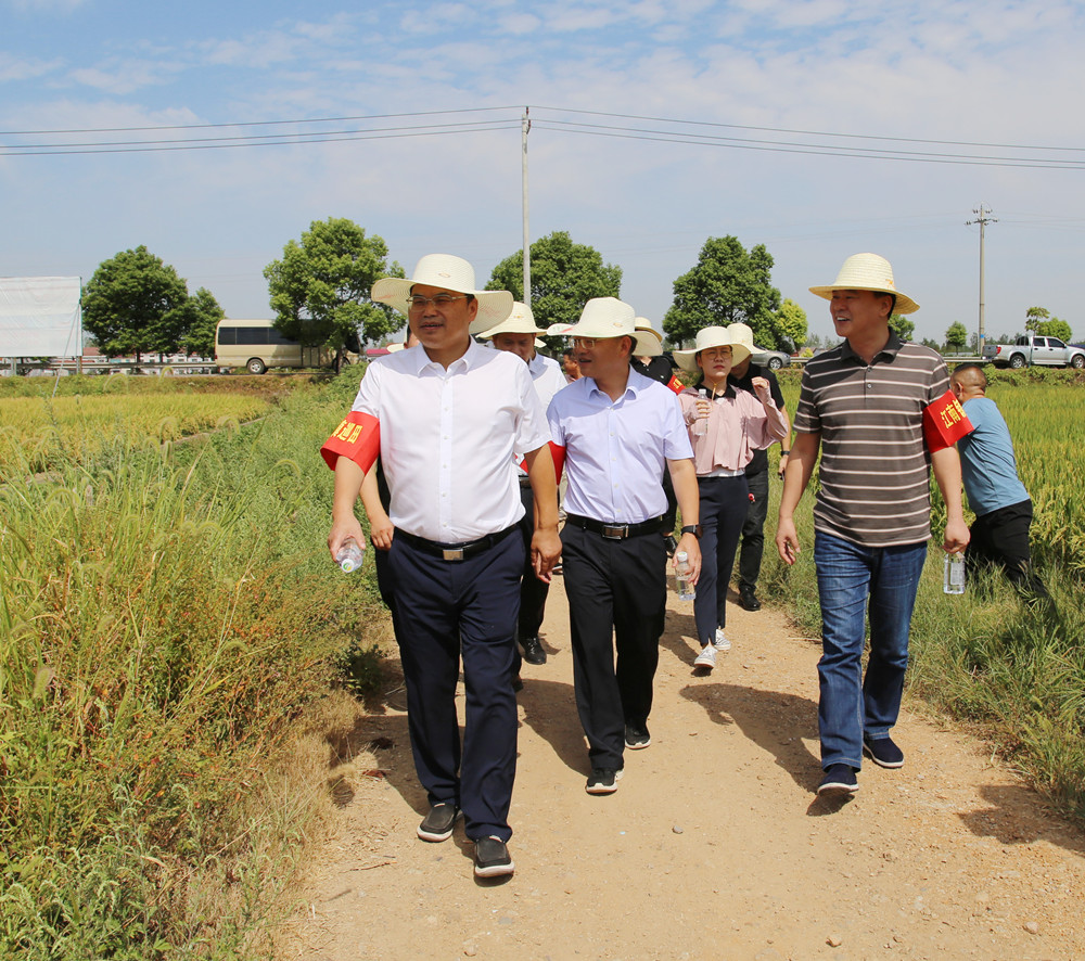 李美云4_副本.jpg 李美云4_副本.jpg