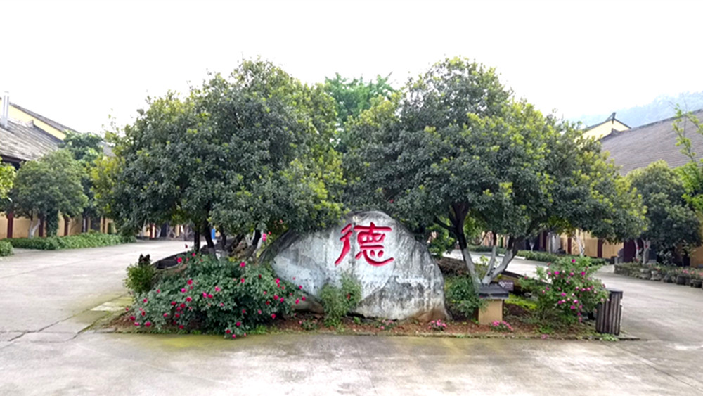 11_副本.jpg 11_副本.jpg