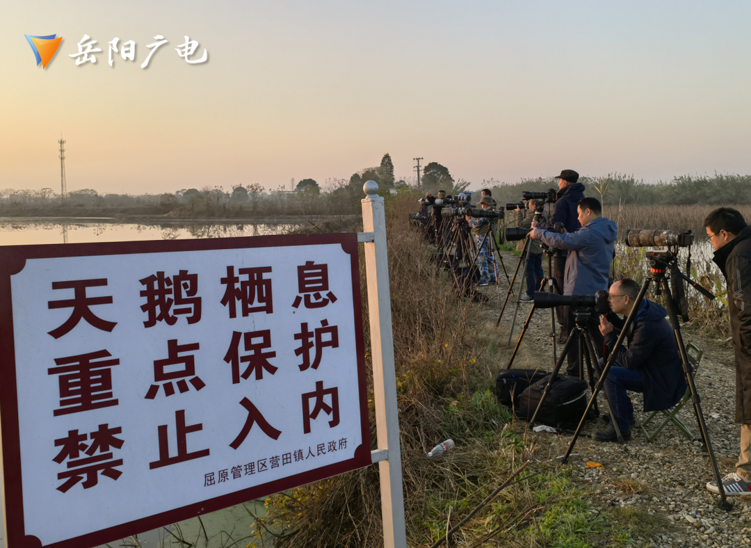 图片12.png