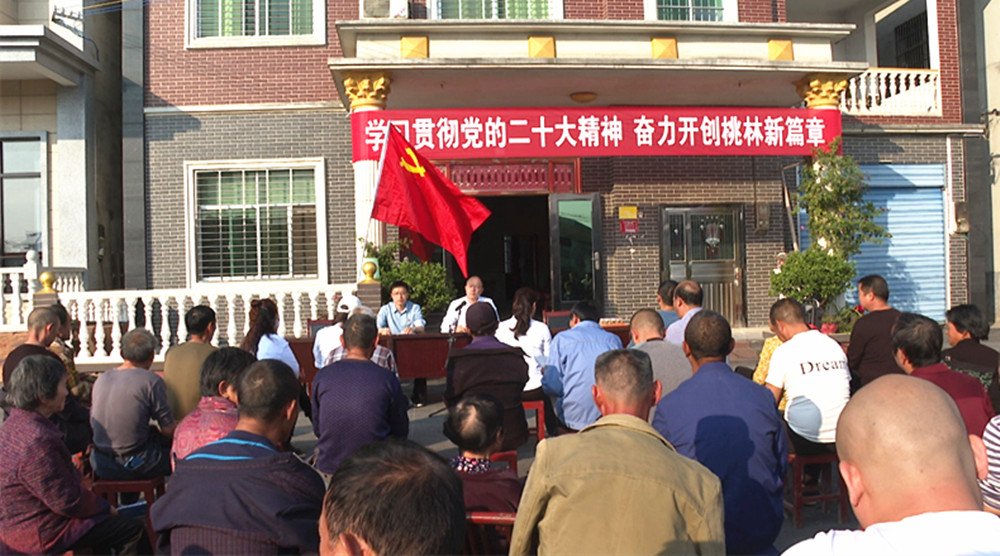 1109桃林二十大宣讲004_副本.jpg