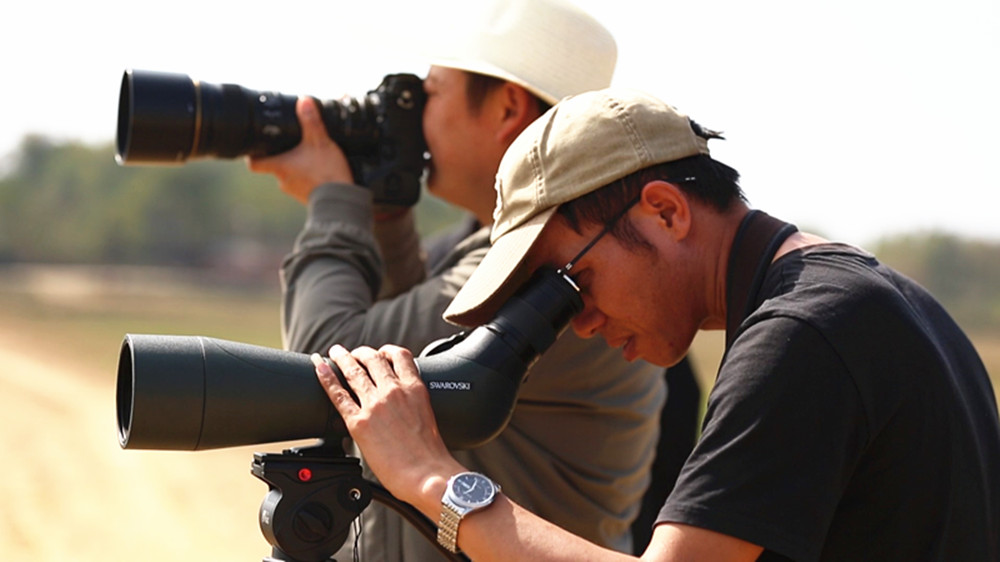 1111黄盖湖候鸟013_副本.jpg 1111黄盖湖候鸟013_副本.jpg