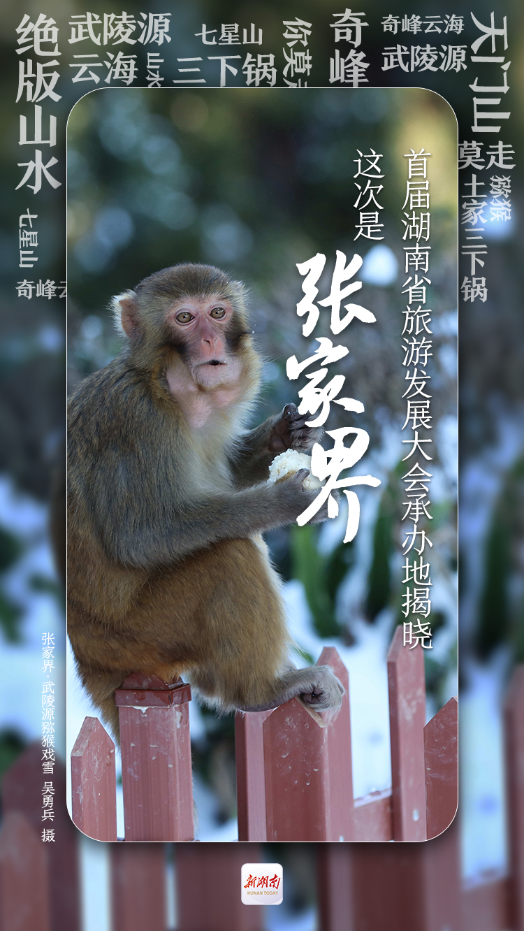 首届湖南旅发大会，花落张家界！