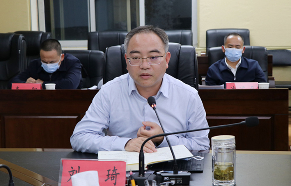 1129王文华、刘琦疫情防控调度会(3)_副本.jpg