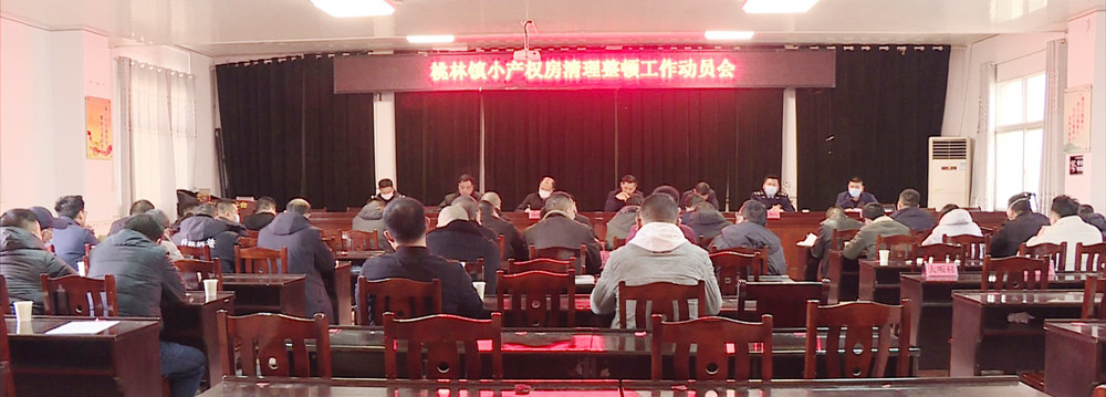 桃林小产权001.jpg