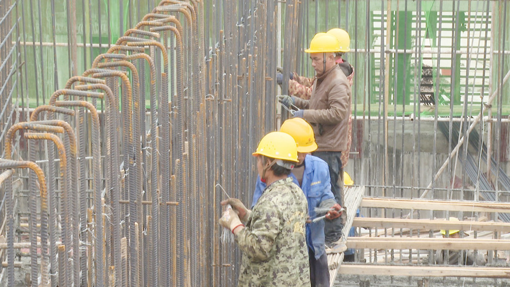 新洲脑电排002.jpg