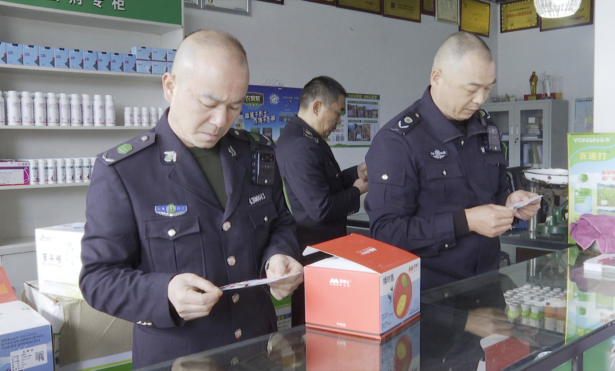 农业局 农资市场007.jpg