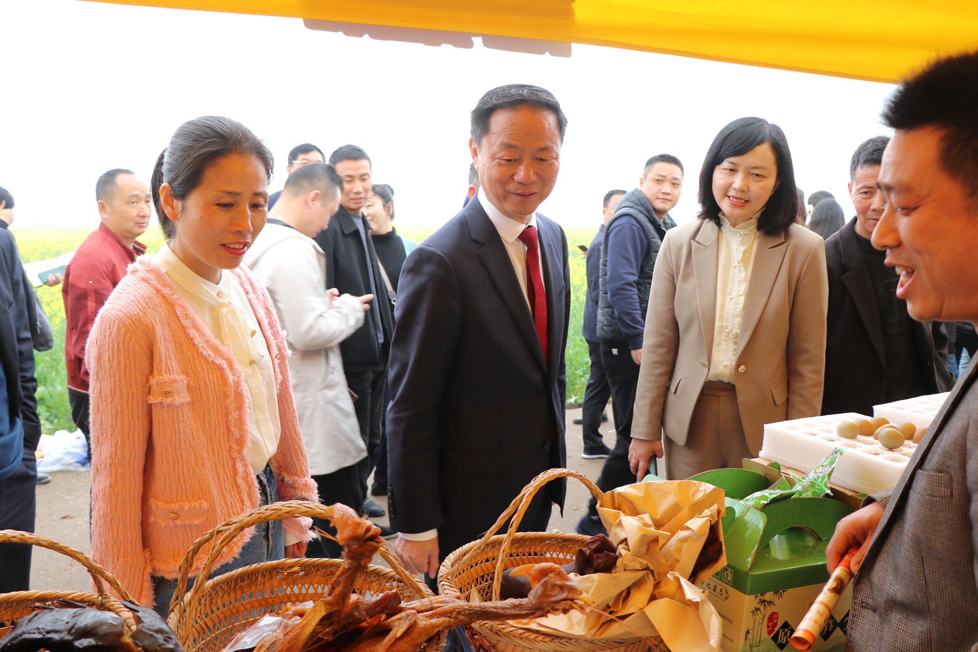 油菜花9.jpg 油菜花9.jpg