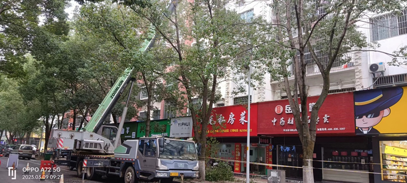 图片2_副本.png