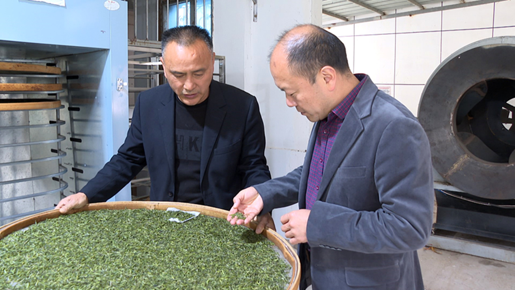 3.30桃林苎麻社区茶叶007_副本.jpg 3.30桃林苎麻社区茶叶007_副本.jpg