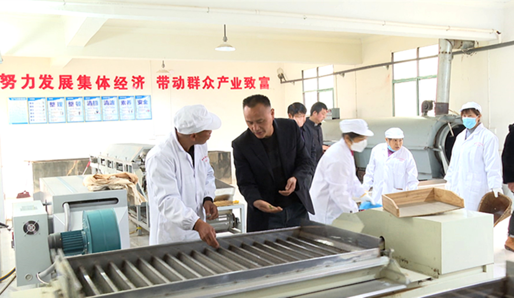 3.30桃林苎麻社区茶叶002_副本.jpg 3.30桃林苎麻社区茶叶002_副本.jpg