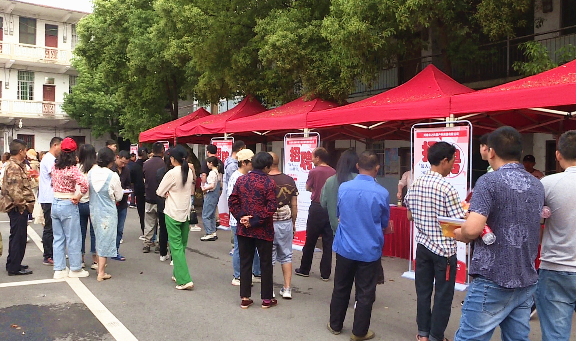 桃林企业招聘会005_副本.jpg