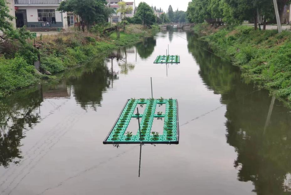 治河渡镇生态浮岛改善河道水环境