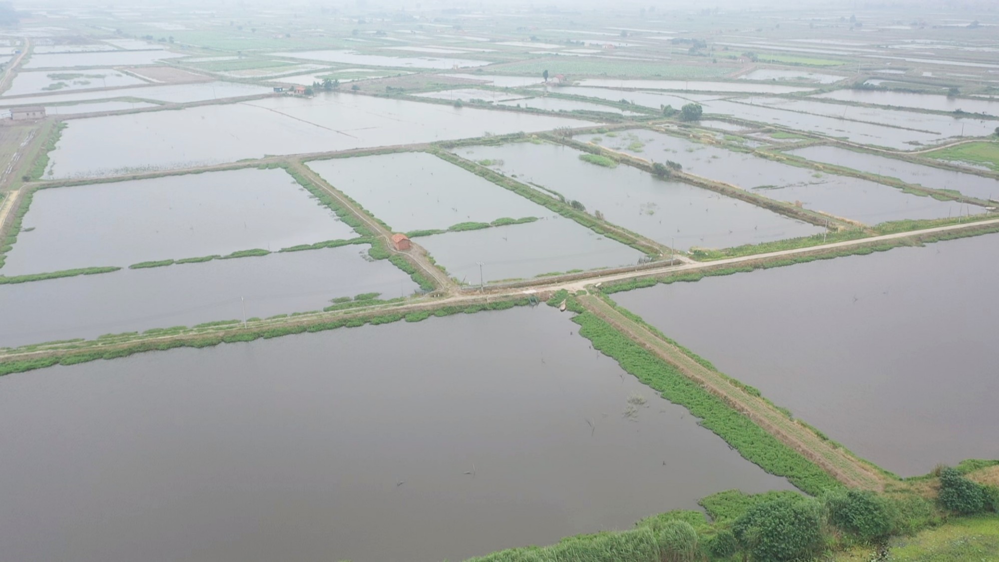 江南养殖龙虾005_副本.jpg 江南养殖龙虾005_副本.jpg