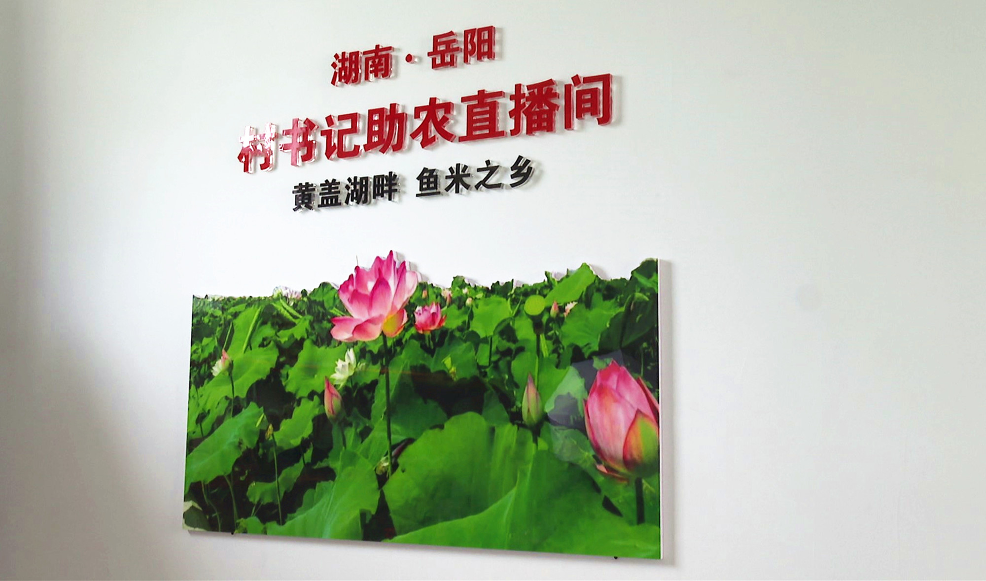 1031聂市012_副本.jpg 1031聂市012_副本.jpg