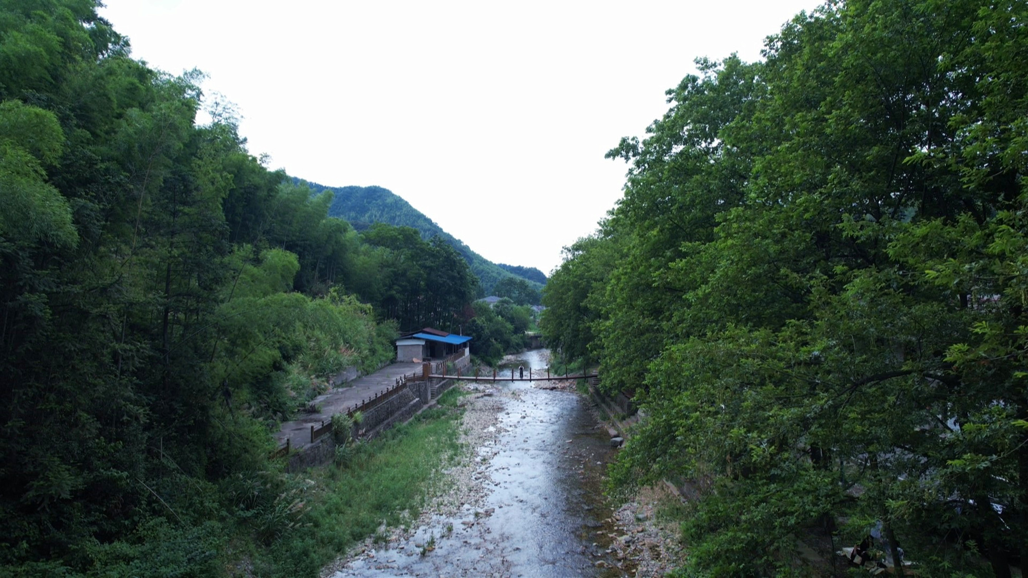 “三长”共护碧水清流 天然“氧吧”享自然019_副本.jpg “三长”共护碧水清流 天然“氧吧”享自然019_副本.jpg