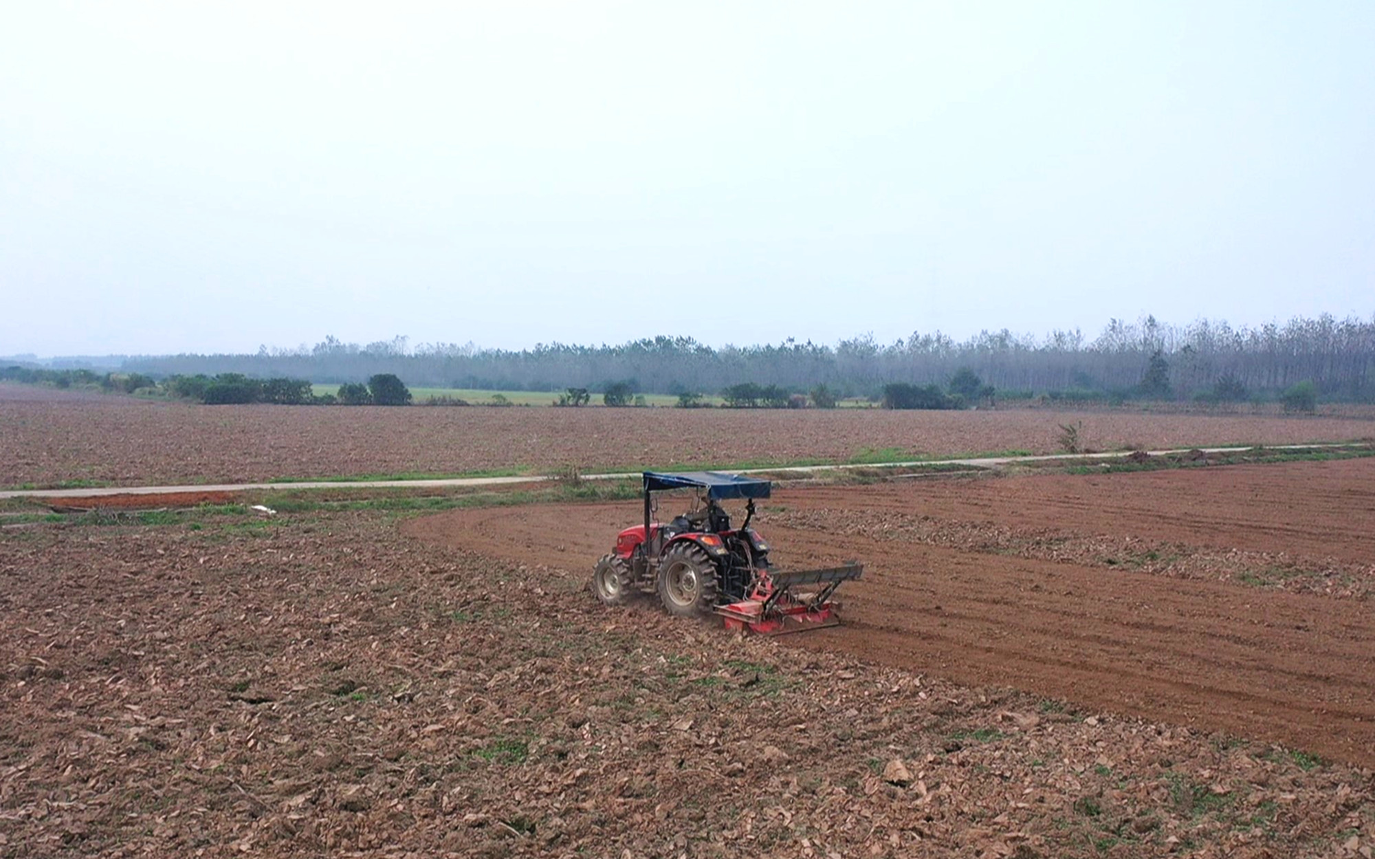 江南镇种植_副本.jpg 江南镇种植_副本.jpg