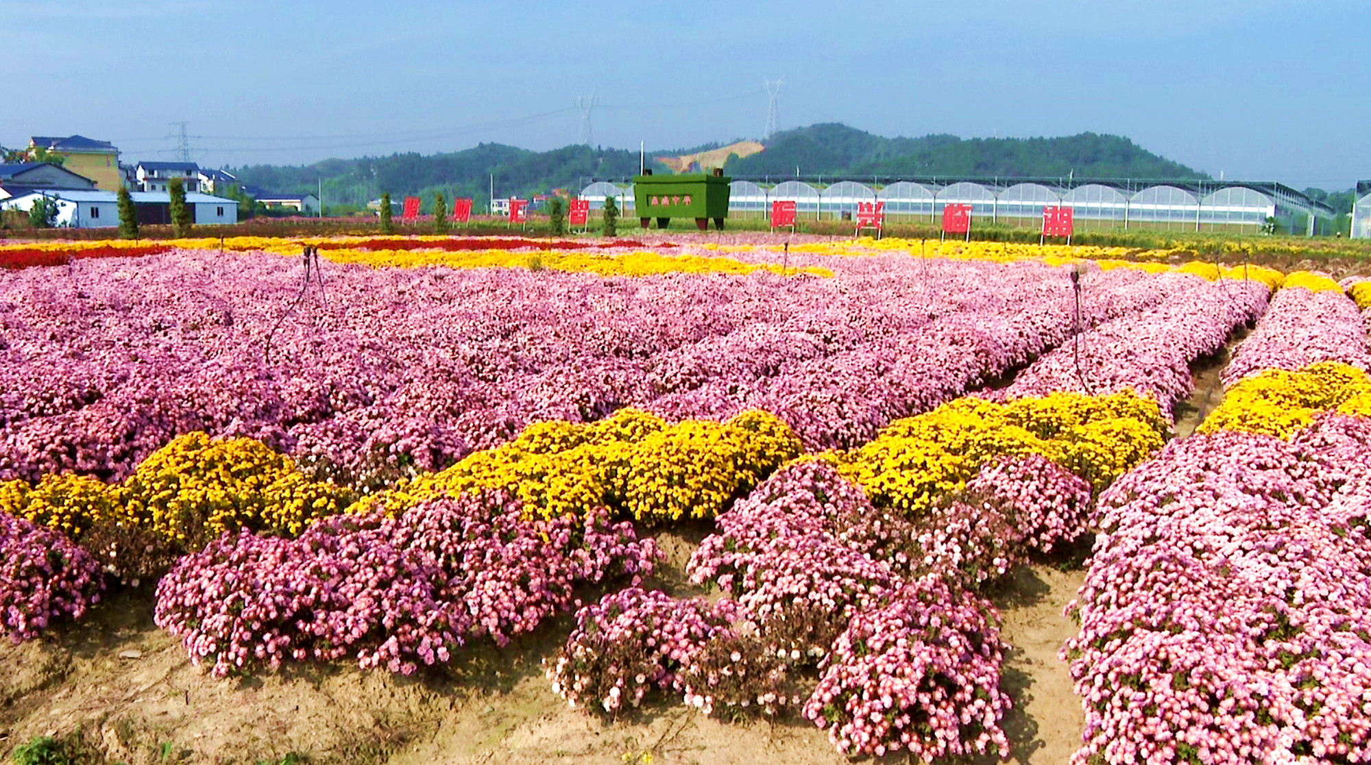 菊博园_副本-1.jpg 菊博园_副本-1.jpg