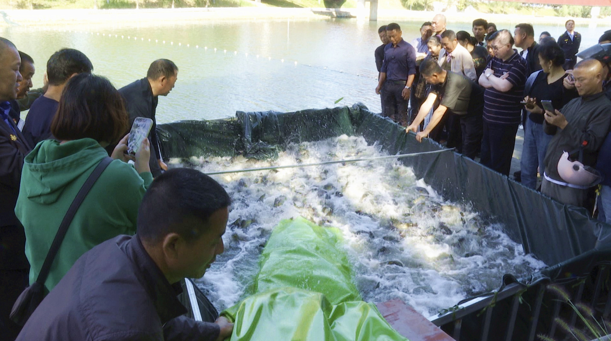 钓鱼比赛放鱼001_副本.jpg 钓鱼比赛放鱼001_副本.jpg