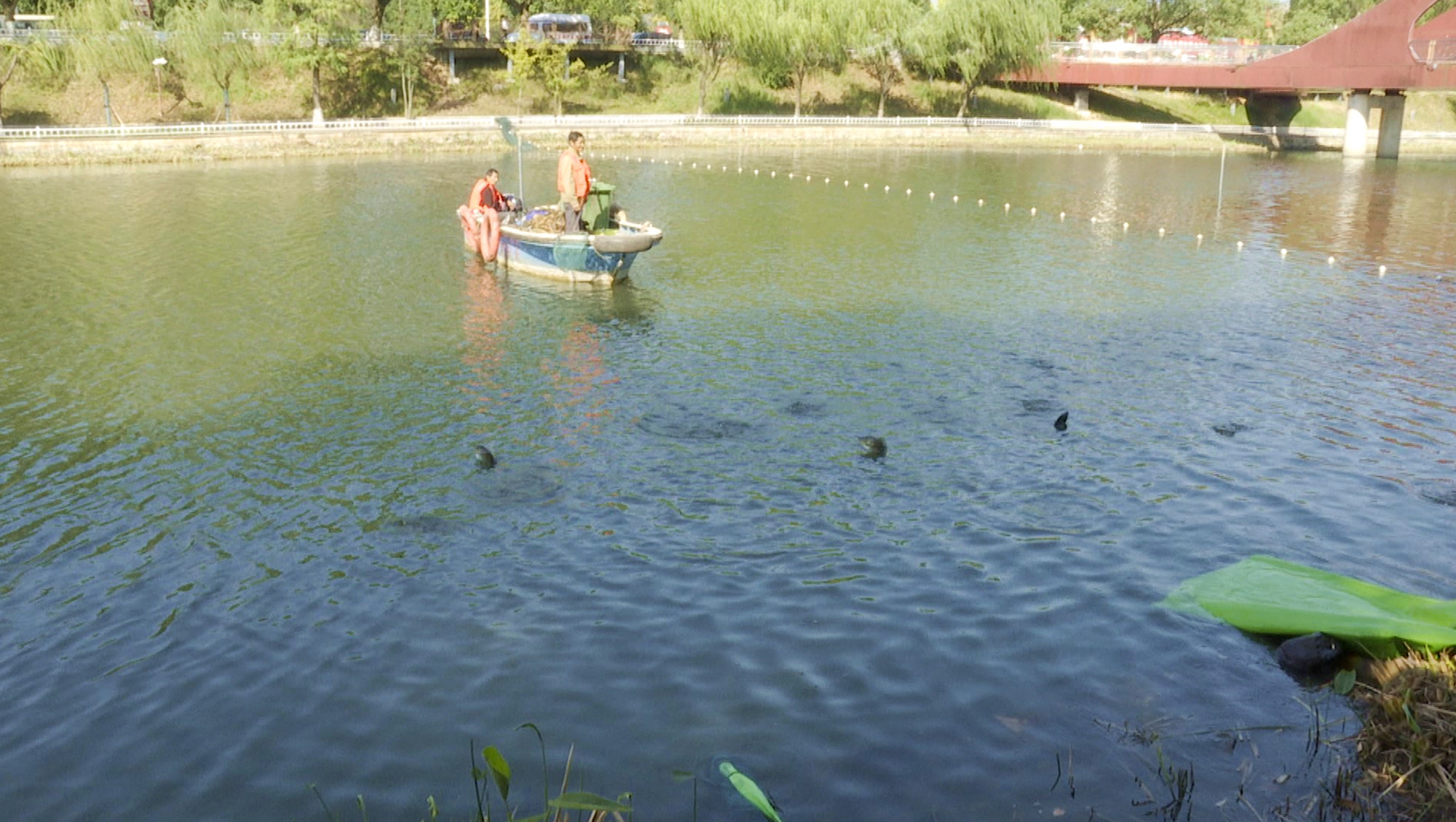 钓鱼比赛放鱼006_副本.jpg 钓鱼比赛放鱼006_副本.jpg