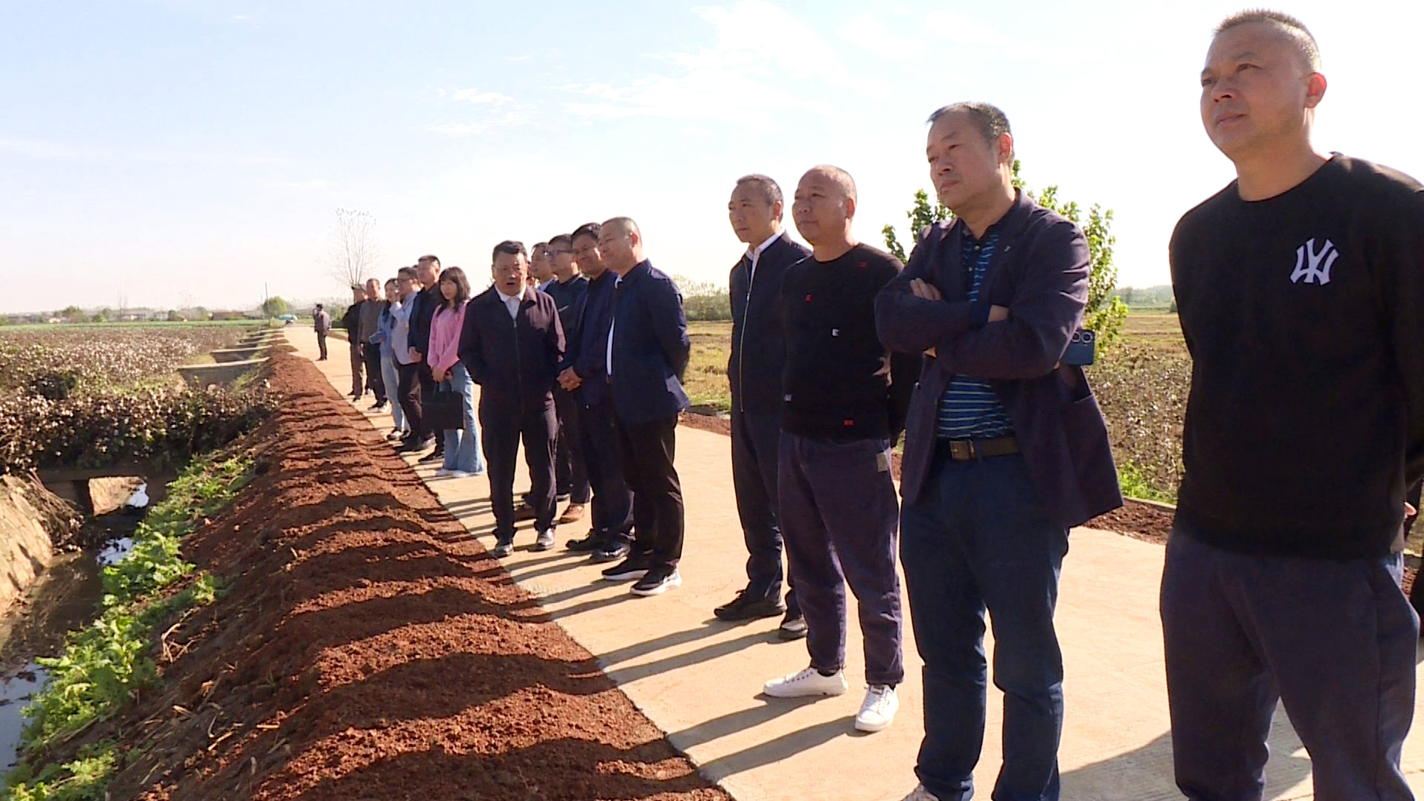 棉花021_副本.jpg 棉花021_副本.jpg