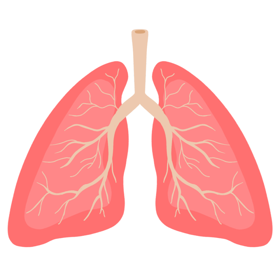 了解慢阻肺,及早预防和治疗 | 第22个世界慢阻肺日