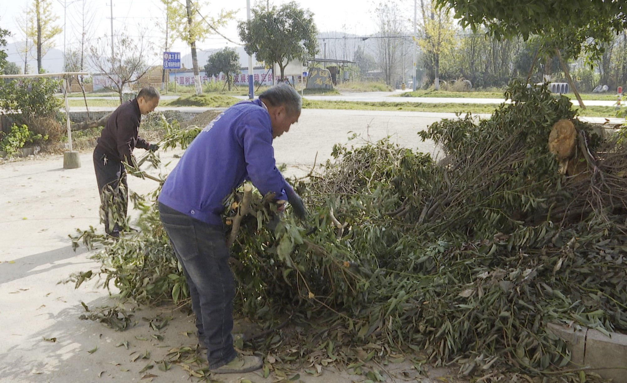 五里牌街道007_副本.jpg 五里牌街道007_副本.jpg