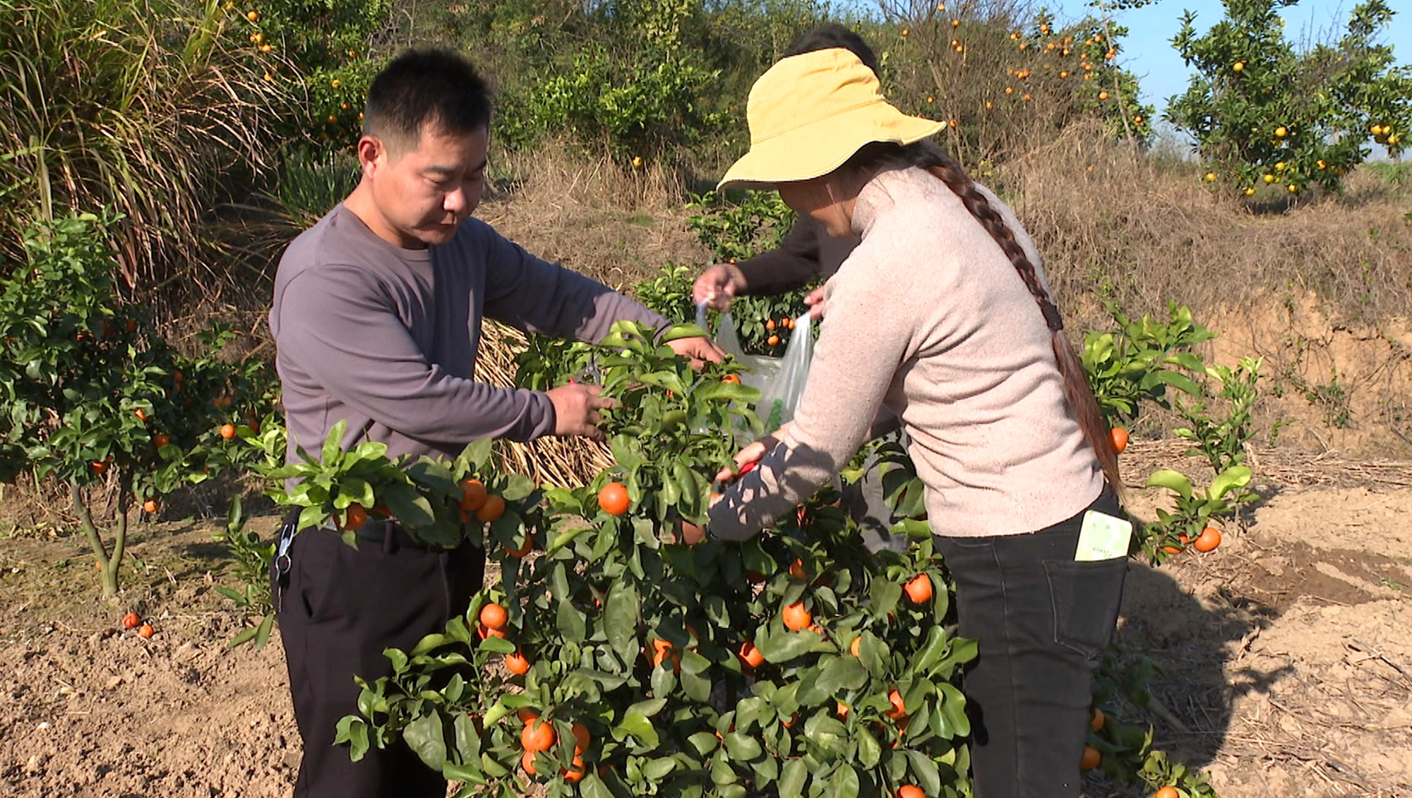 乘岭社区乡村振兴005_副本.jpg 乘岭社区乡村振兴005_副本.jpg
