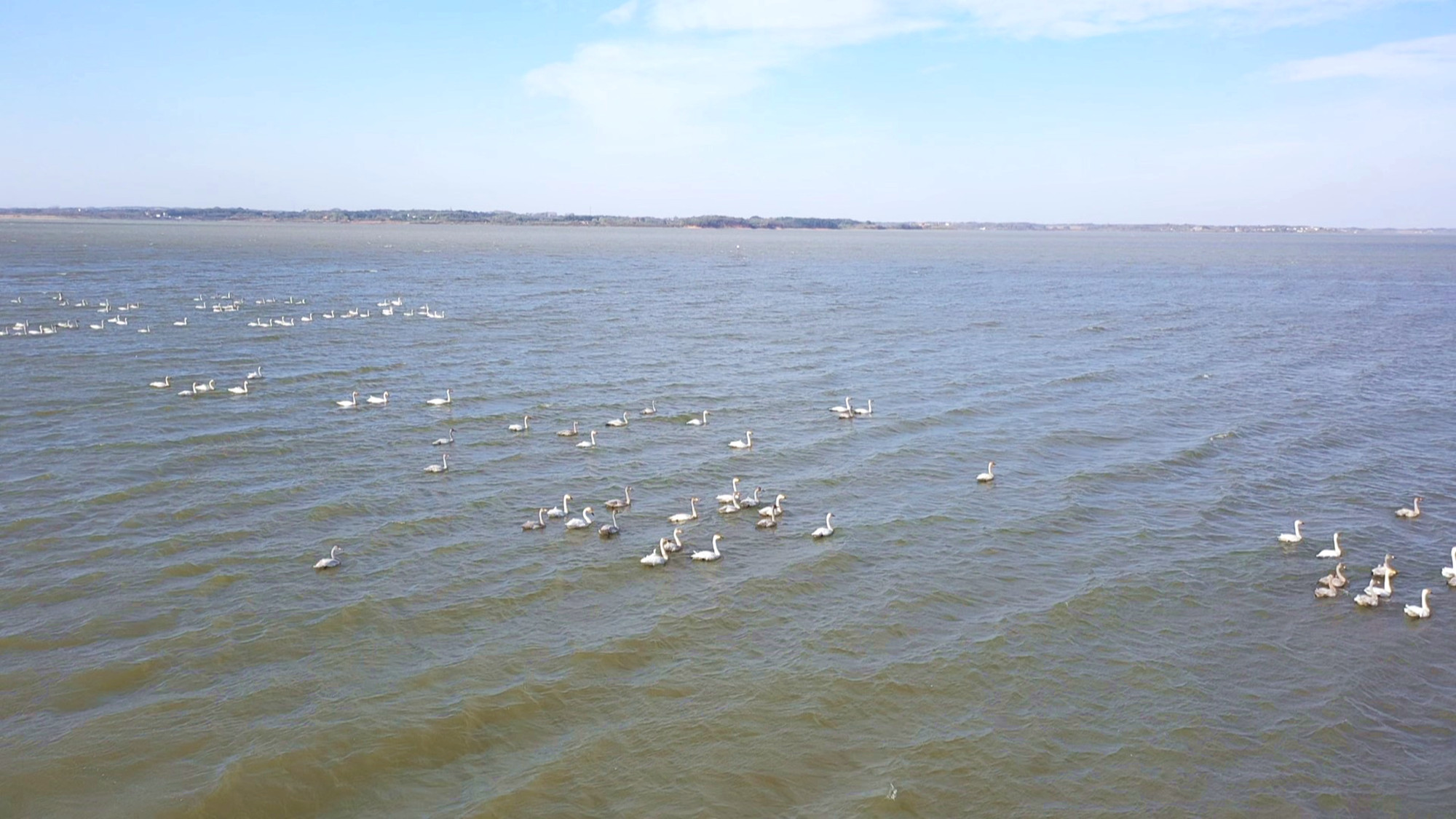 黄盖湖012_副本.jpg 黄盖湖012_副本.jpg