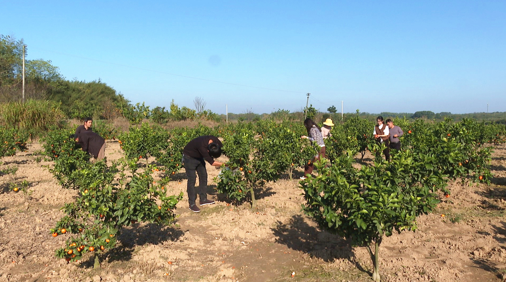 乘岭社区乡村振兴004_副本.jpg 乘岭社区乡村振兴004_副本.jpg