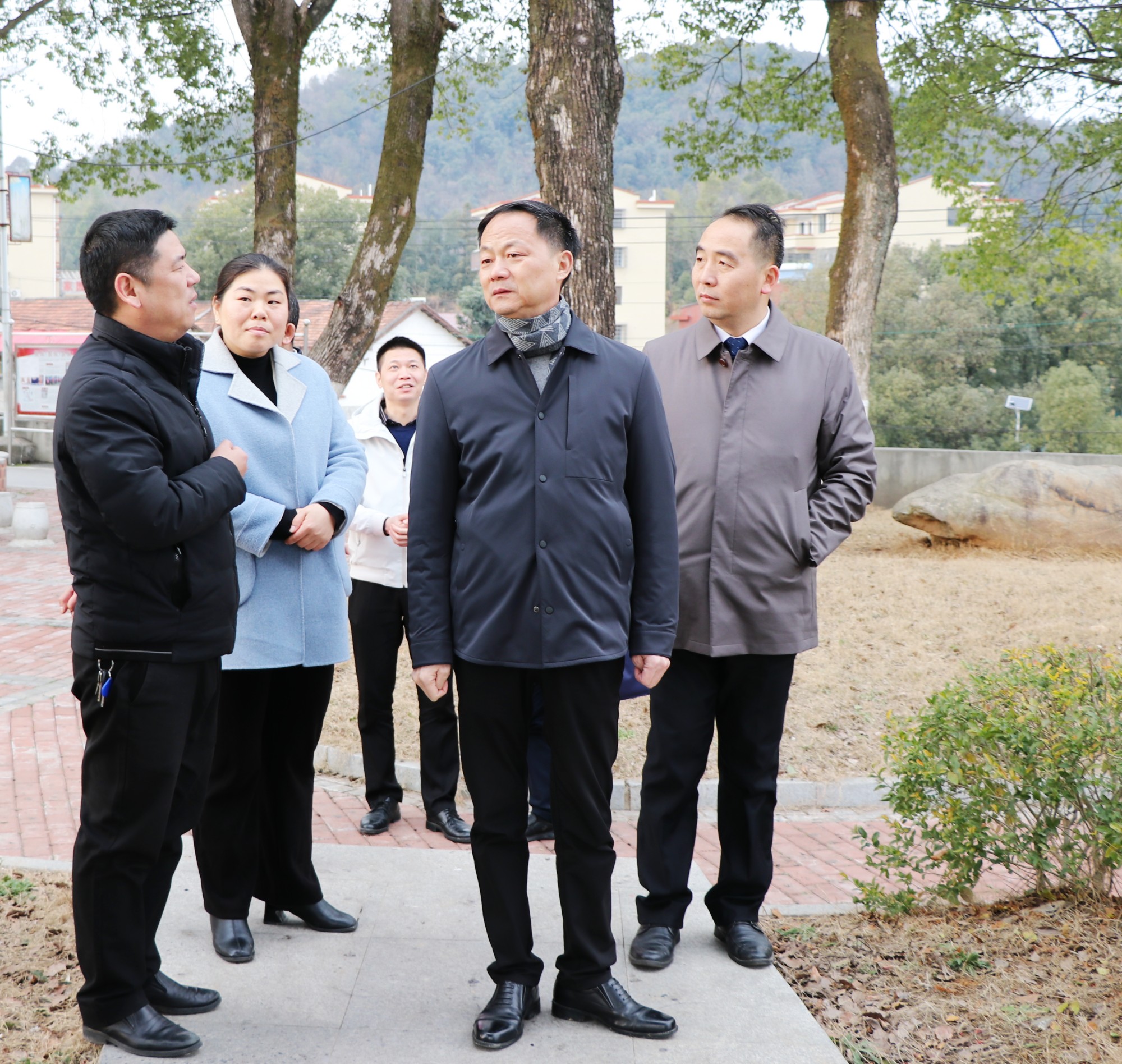 书记桃矿.jpg2.jpg 书记桃矿.jpg2.jpg