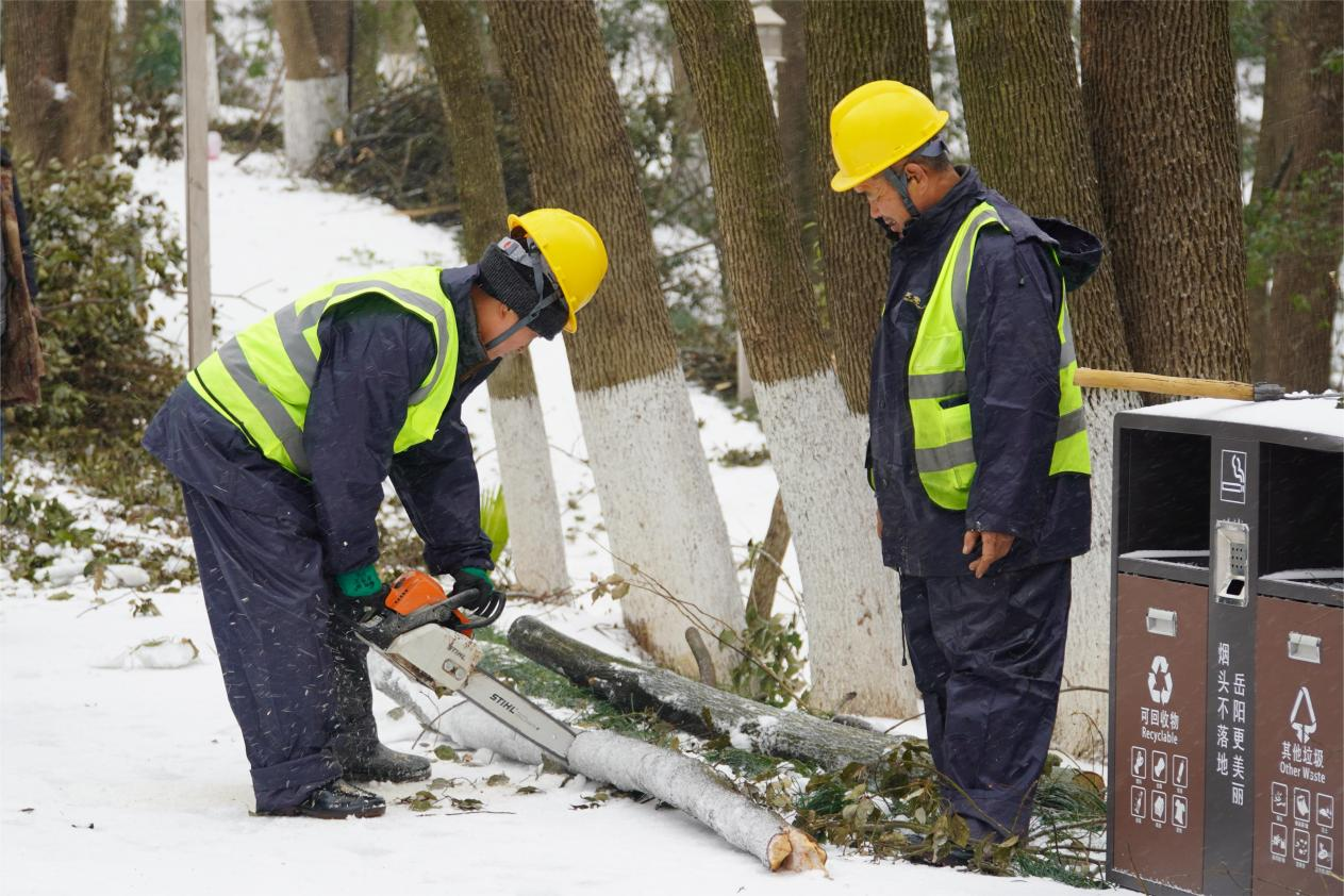 图片3.png 图片3.png