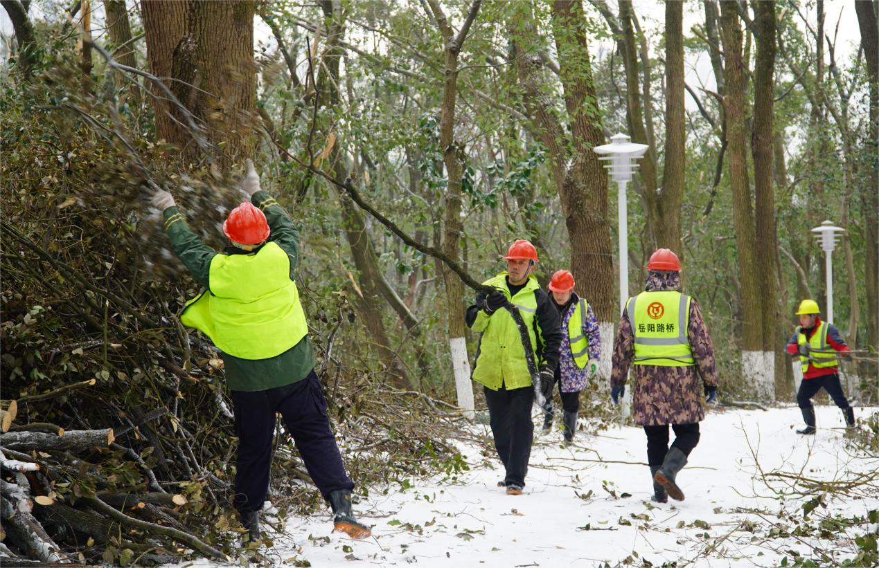 图片4.png 图片4.png