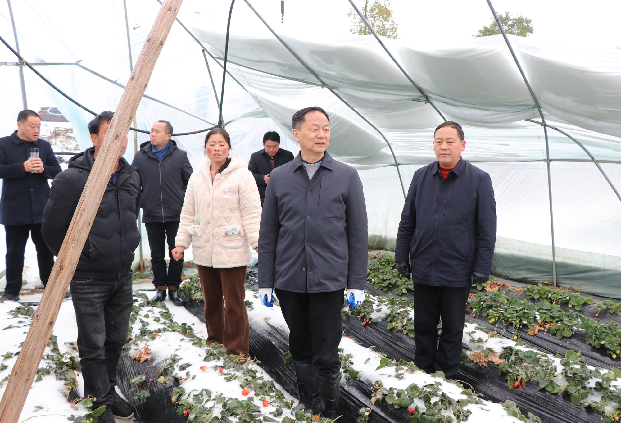 2.24书记督导107国道抗冰保畅工作1_副本.jpg