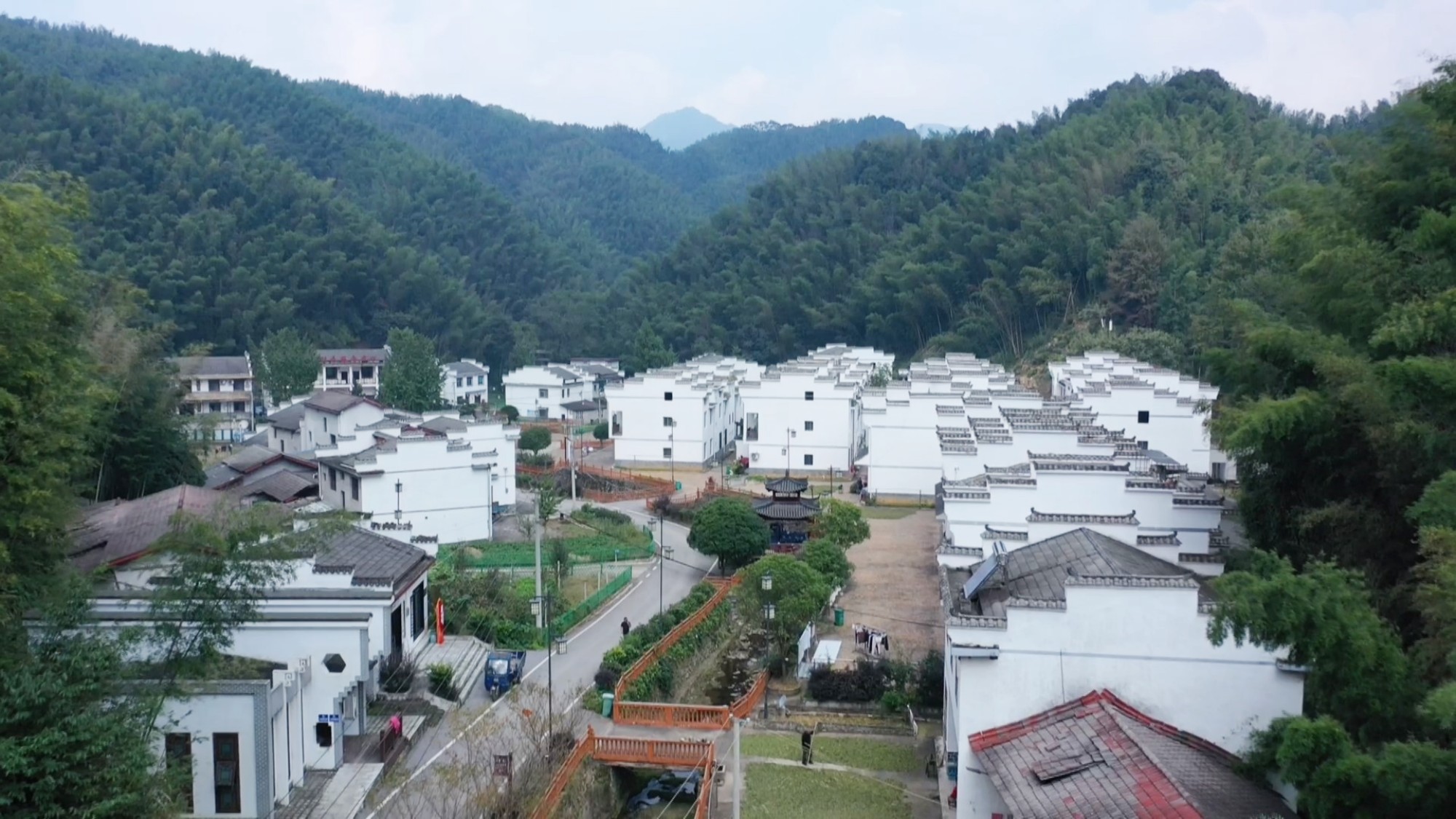 钟军岳001_副本.jpg