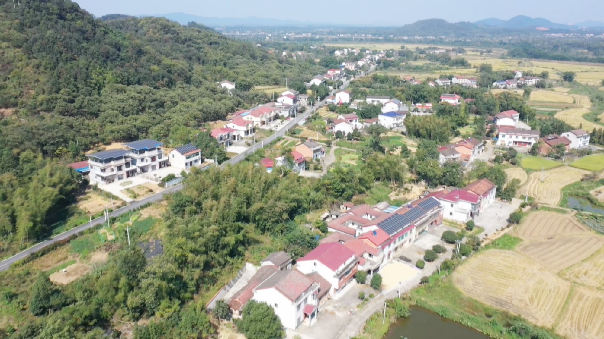周显峰001_副本.jpg