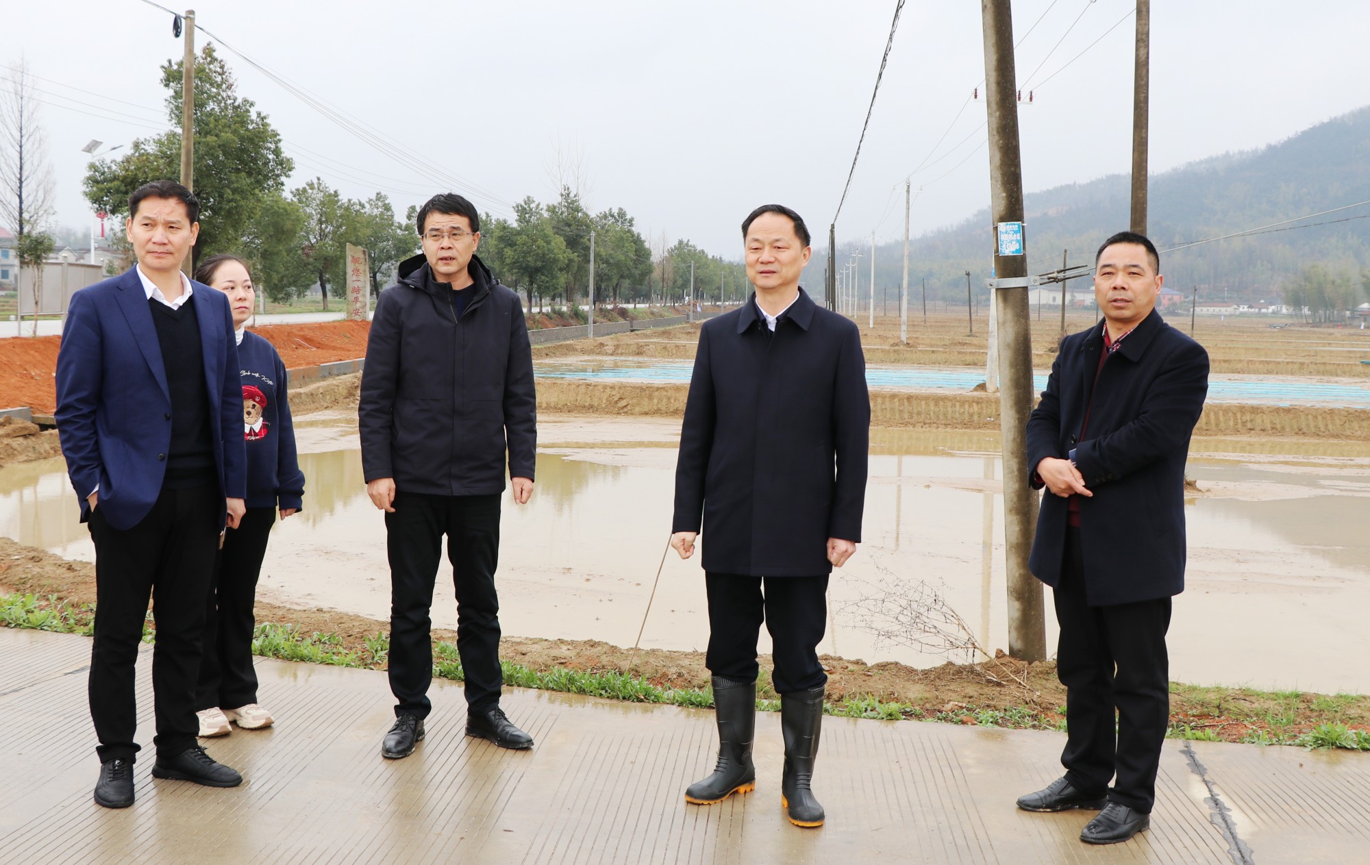 书记调研.jpg