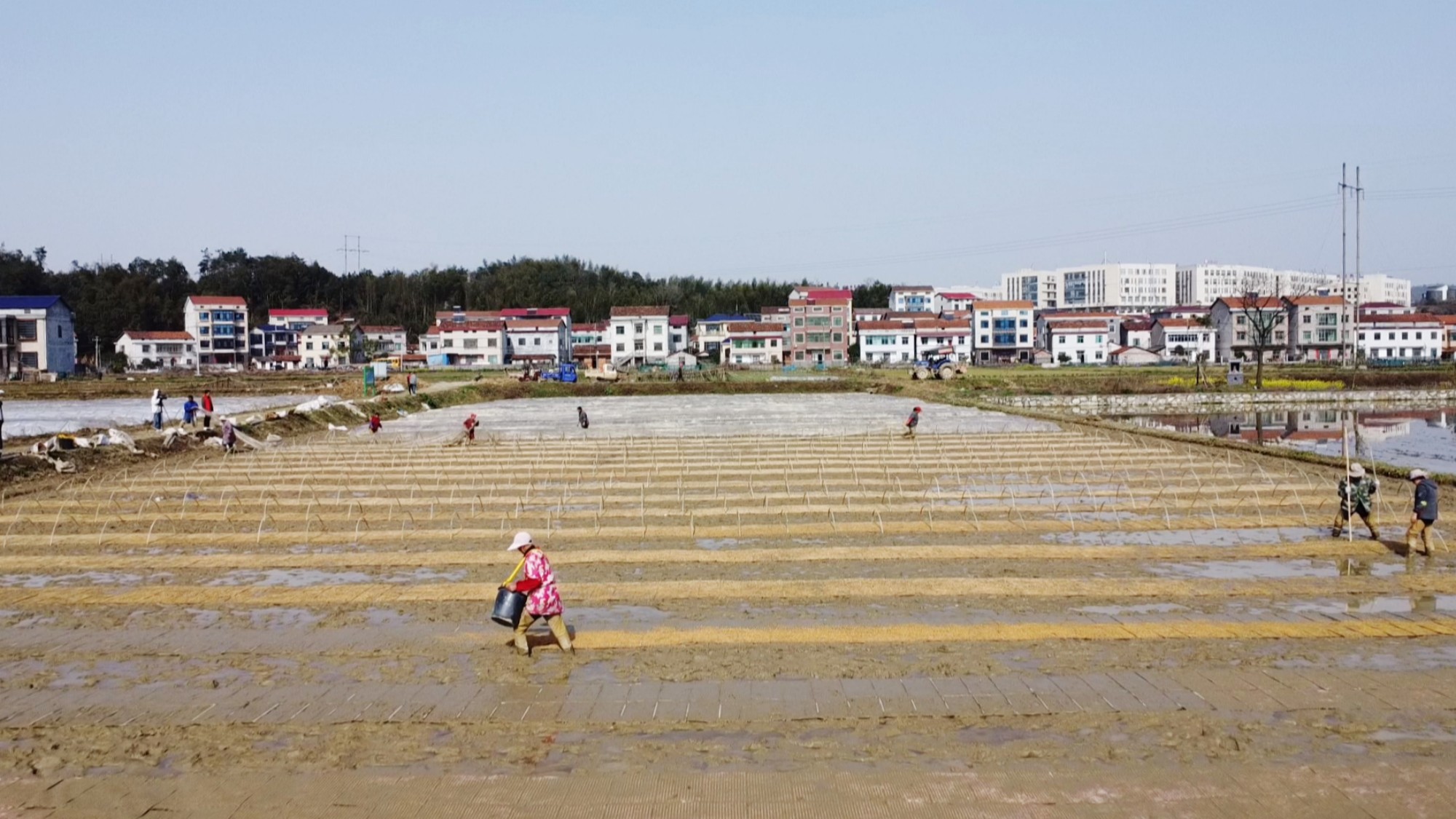 云湖街道002_副本.jpg
