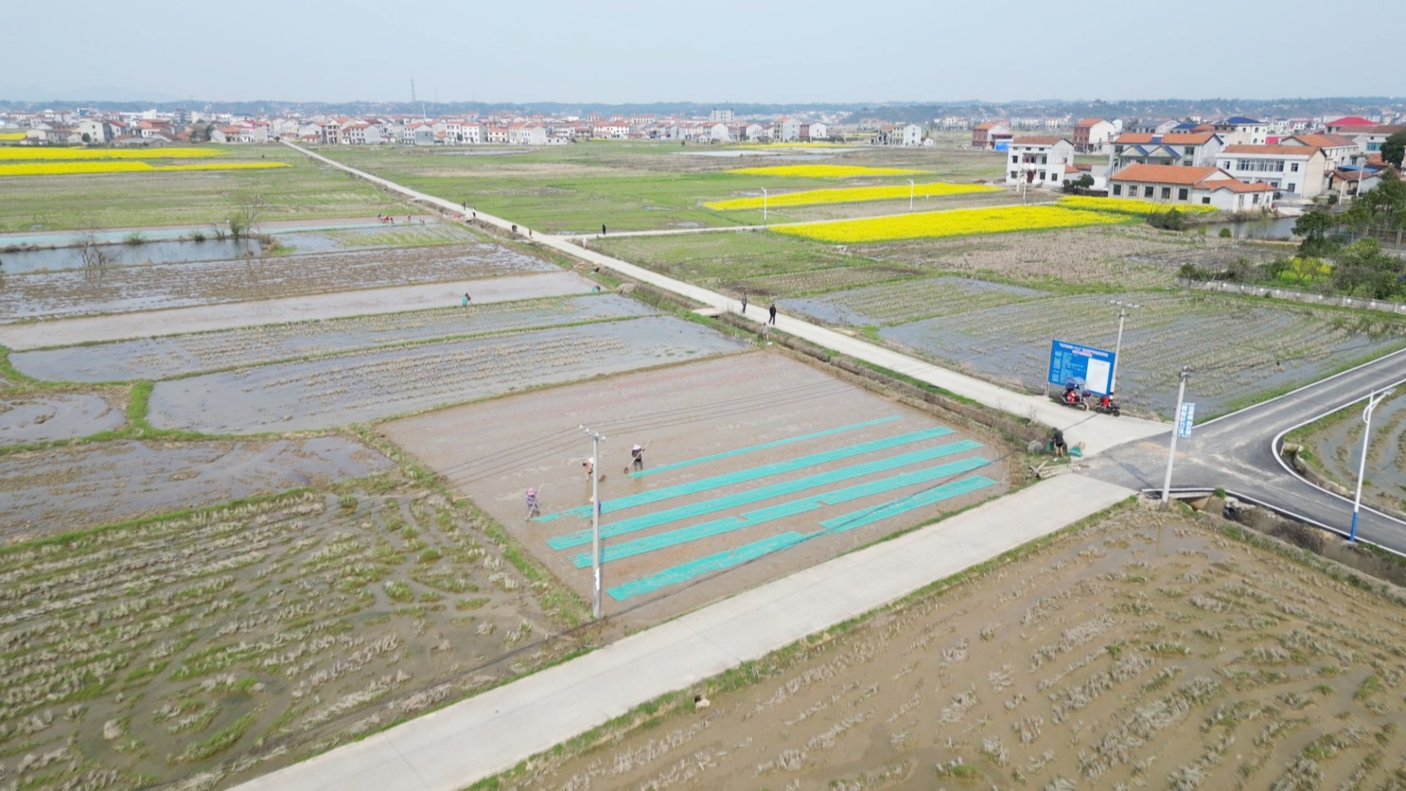 长塘育秧001_副本.jpg 长塘育秧001_副本.jpg