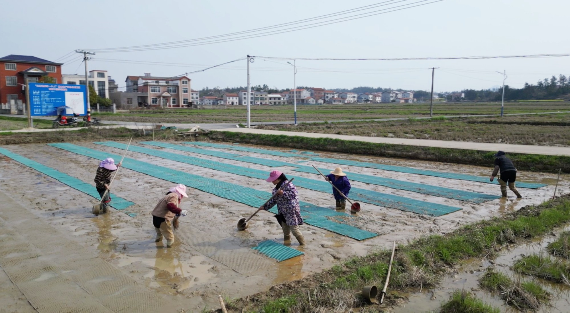 长塘育秧003_副本.jpg 长塘育秧003_副本.jpg