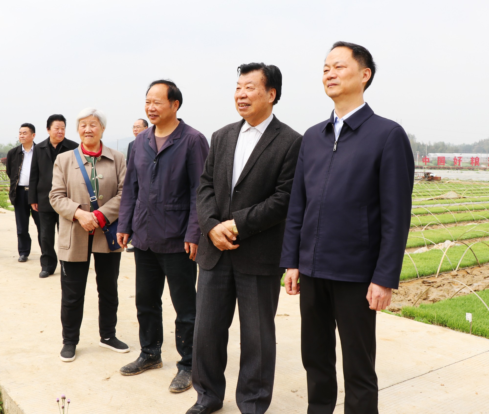 书记岳阳.jpg