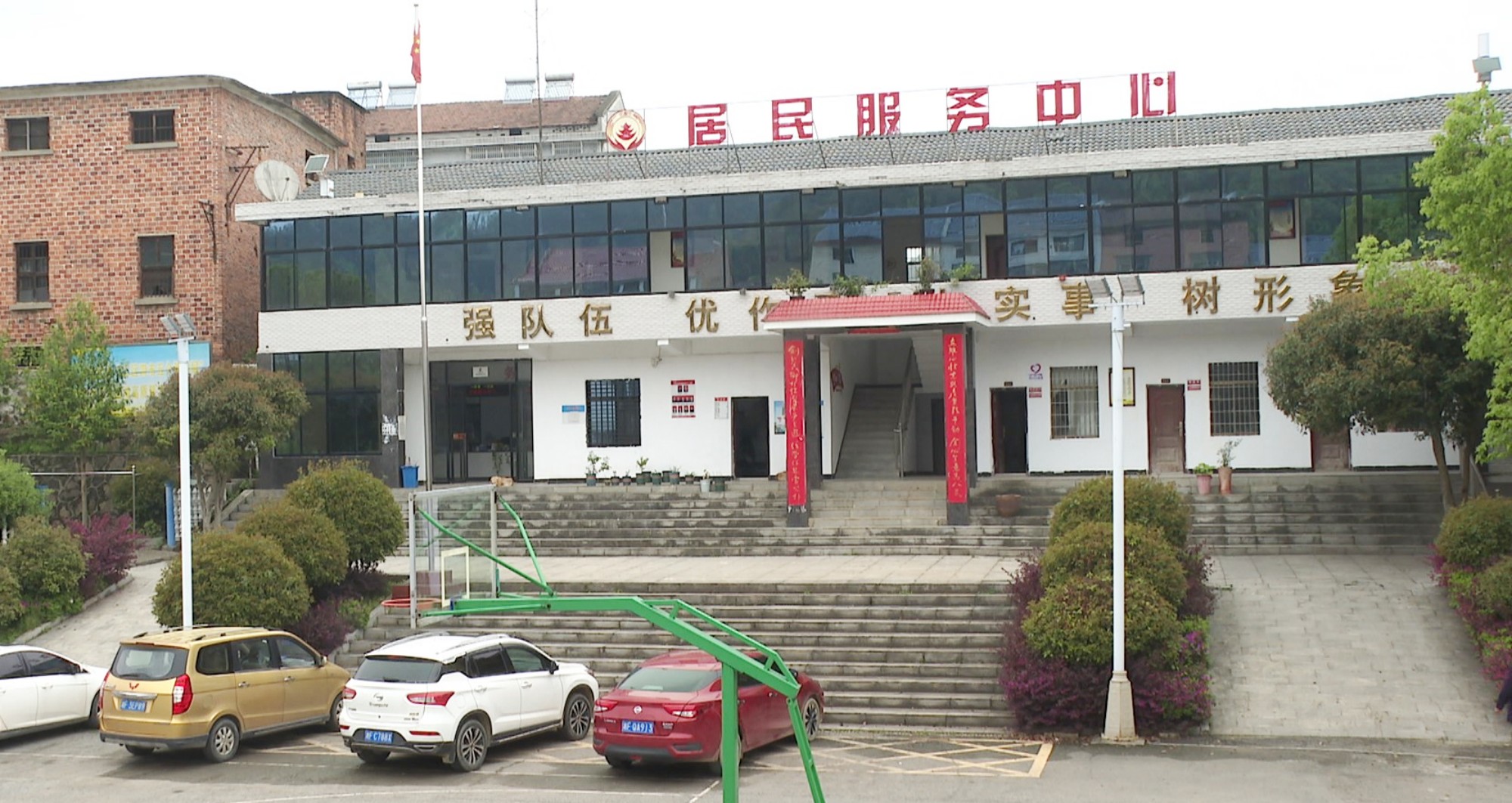 苎麻001_副本.jpg