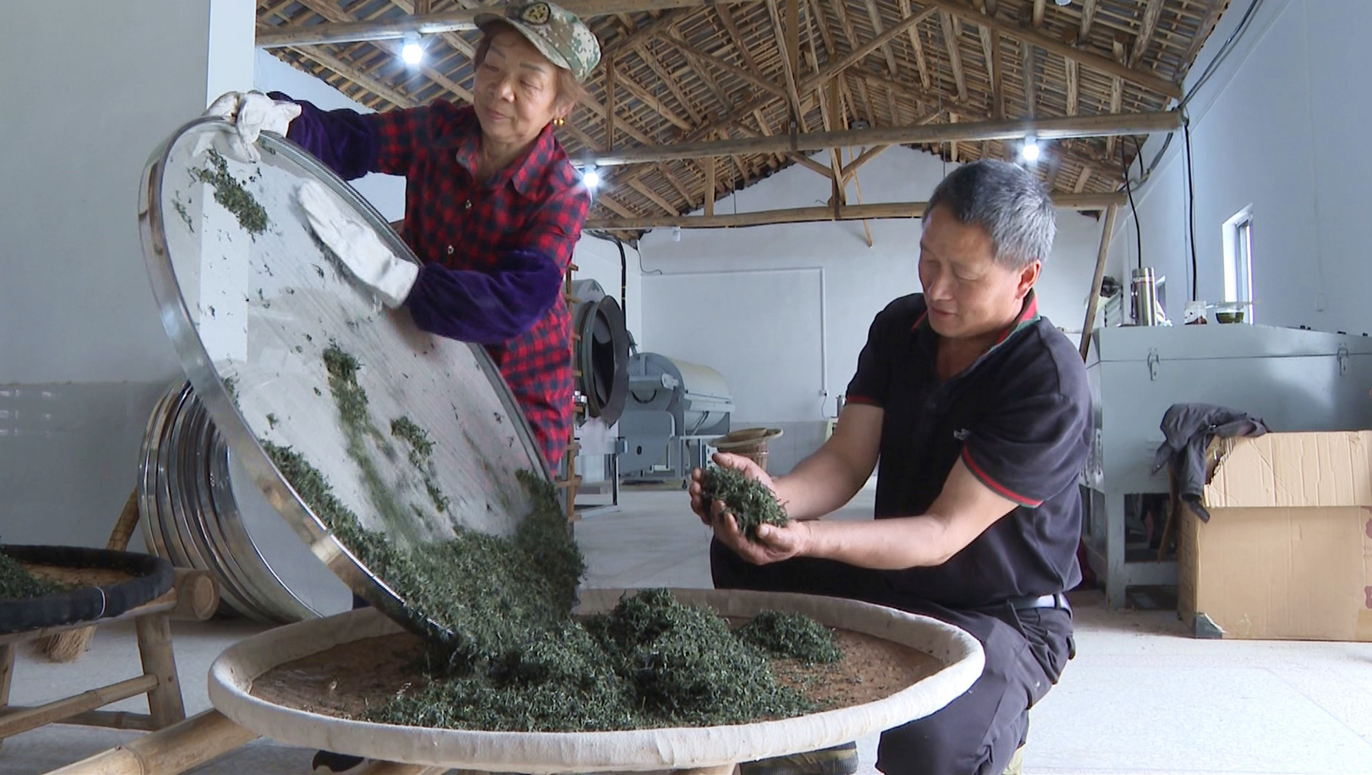 坦渡茶叶014_副本.jpg