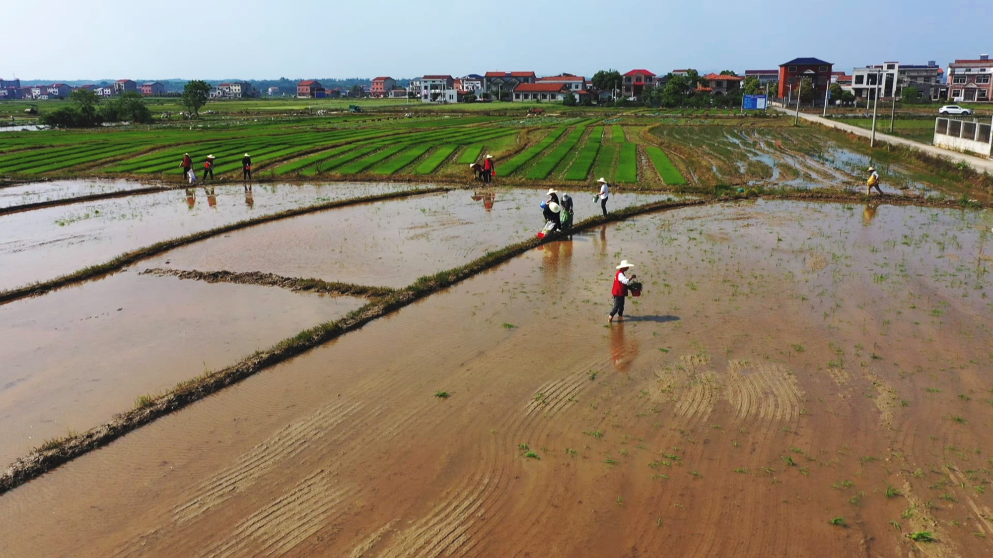 长塘助力春耕航拍003_副本.jpg 长塘助力春耕航拍003_副本.jpg